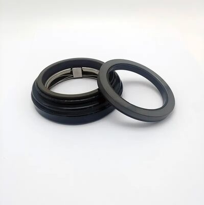 Ipso Hf 65 Accel Seal Ax5 or Ax05 Washing Machine Seal for Guilliver Garlock Alliance Primus Lavamac Counterface Gcs Gw Gulliver Grandimpianti