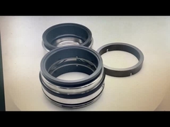 ফ্রিস্টাম সিল GLRD FDS2 BCH-045 SIC-SIC-HNBR/C-TC-HNBR For Fristam Fds ডাবল স্ক্রু পাম্প