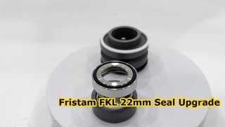 দেখুন কেন Fristam FKL পাম্পের জন্য উপযুক্ত SIC SIC FKM মেকানিক্যাল সীল 22MM বেছে নিন